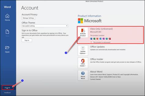 Microsoft Office activation guide modified to use Ohook .